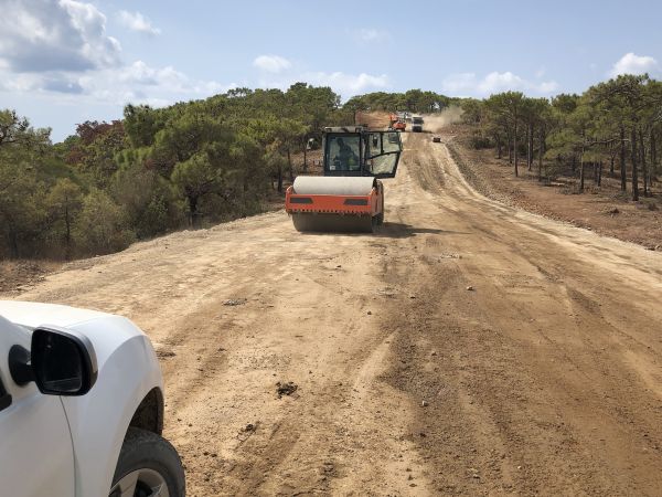 Cost of Driveway Grading in Layton