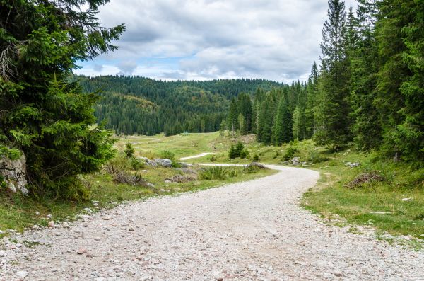 Cost of Gravel Road Grading in Layton