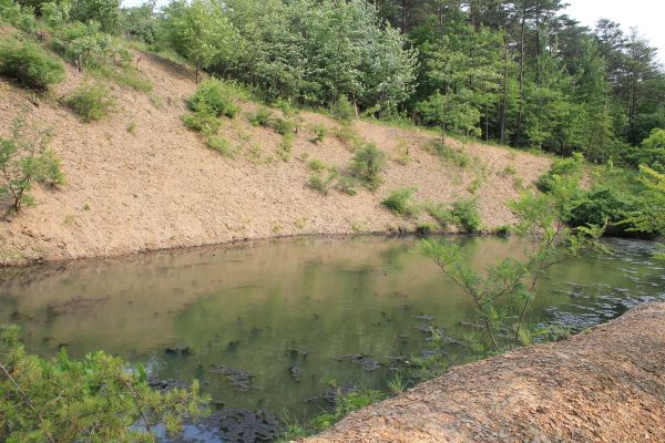 Cost of Pond Erosion Repair in Layton