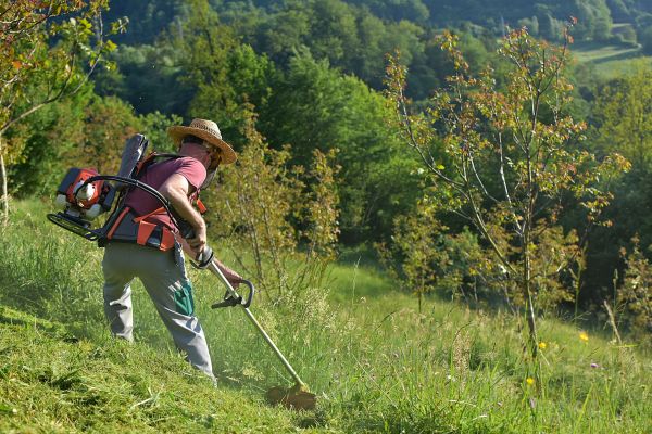 Cost of Slope Trimming in Layton