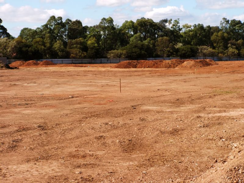 Landscaping Readiness